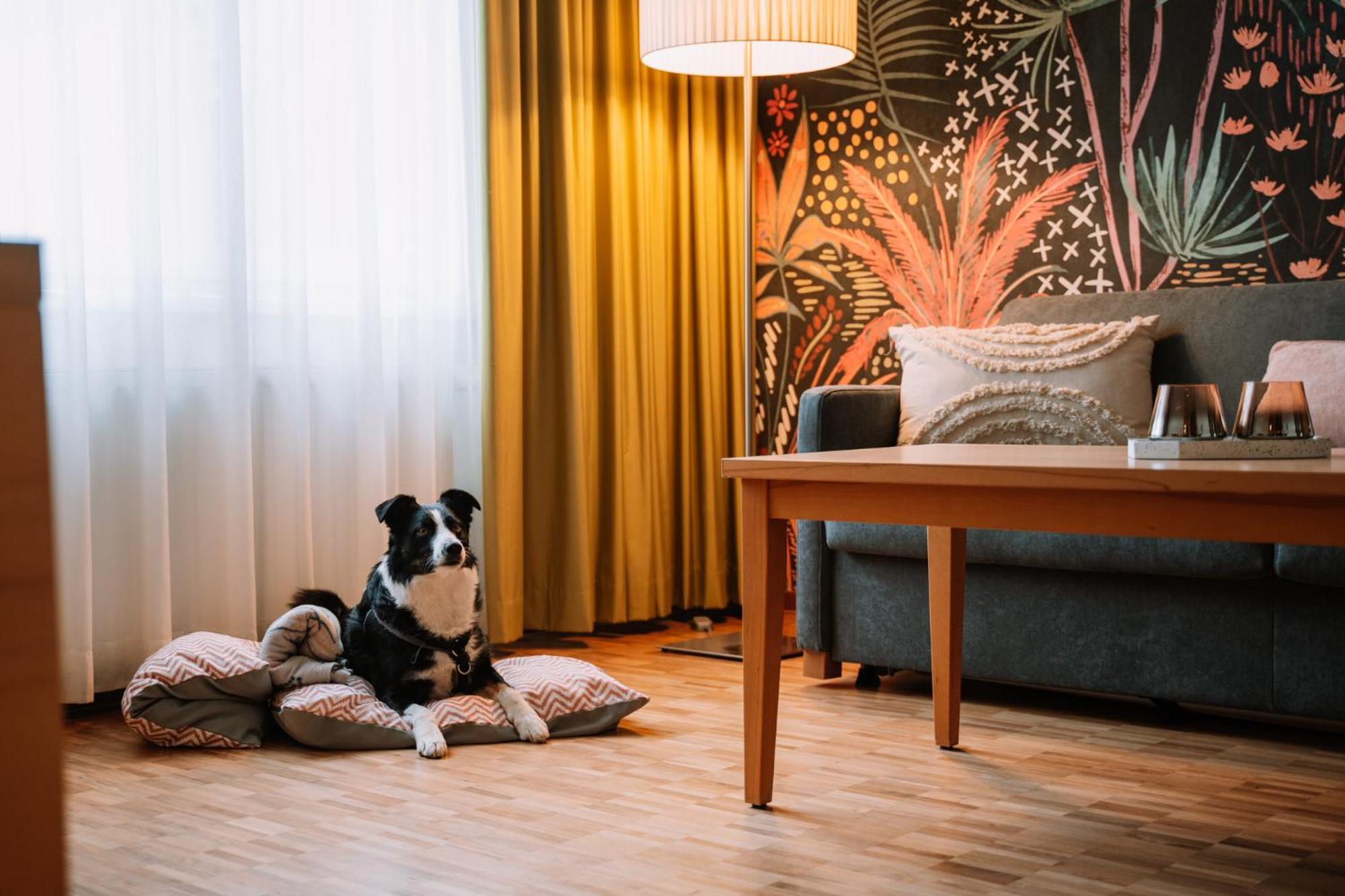 Hotel Auszeit St Lambrecht Sankt Lambrecht Ngoại thất bức ảnh